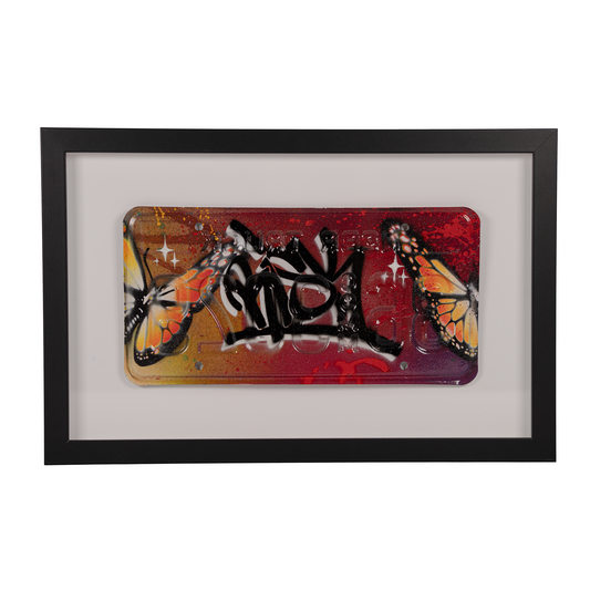 Framed hand-painted license plate artwork by Risk Rock