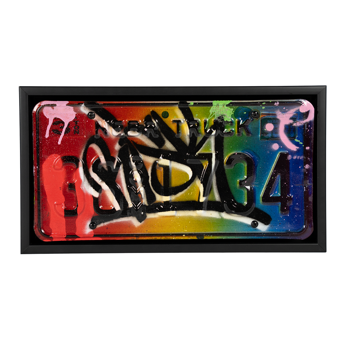 Risk Rock, Risk Rock Hand-Painted License Plate, Framed