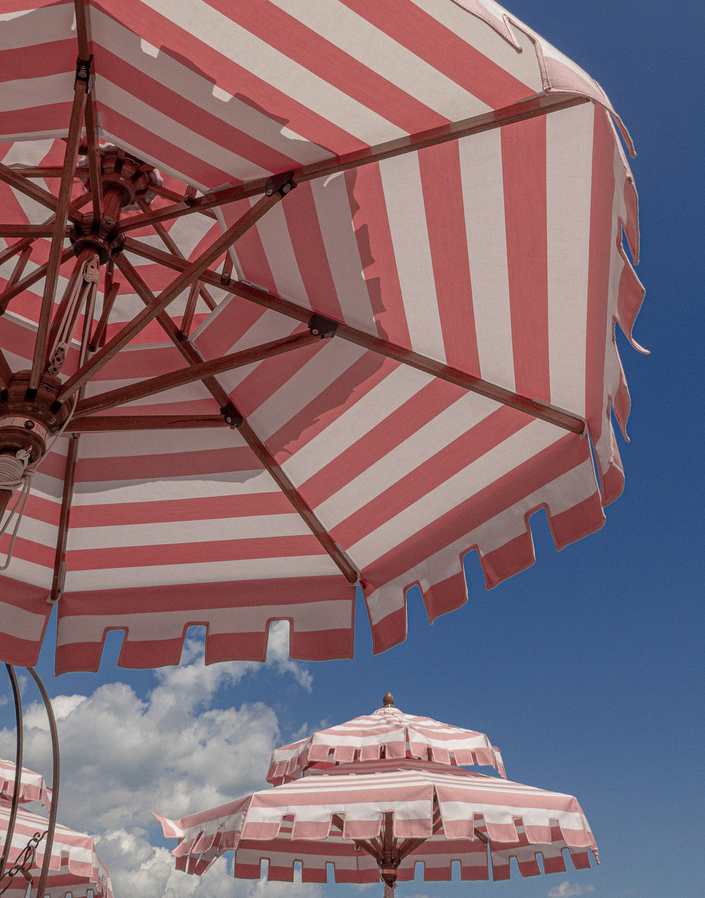 Pink Umbrellas fine art photography print by Cassandra Willis