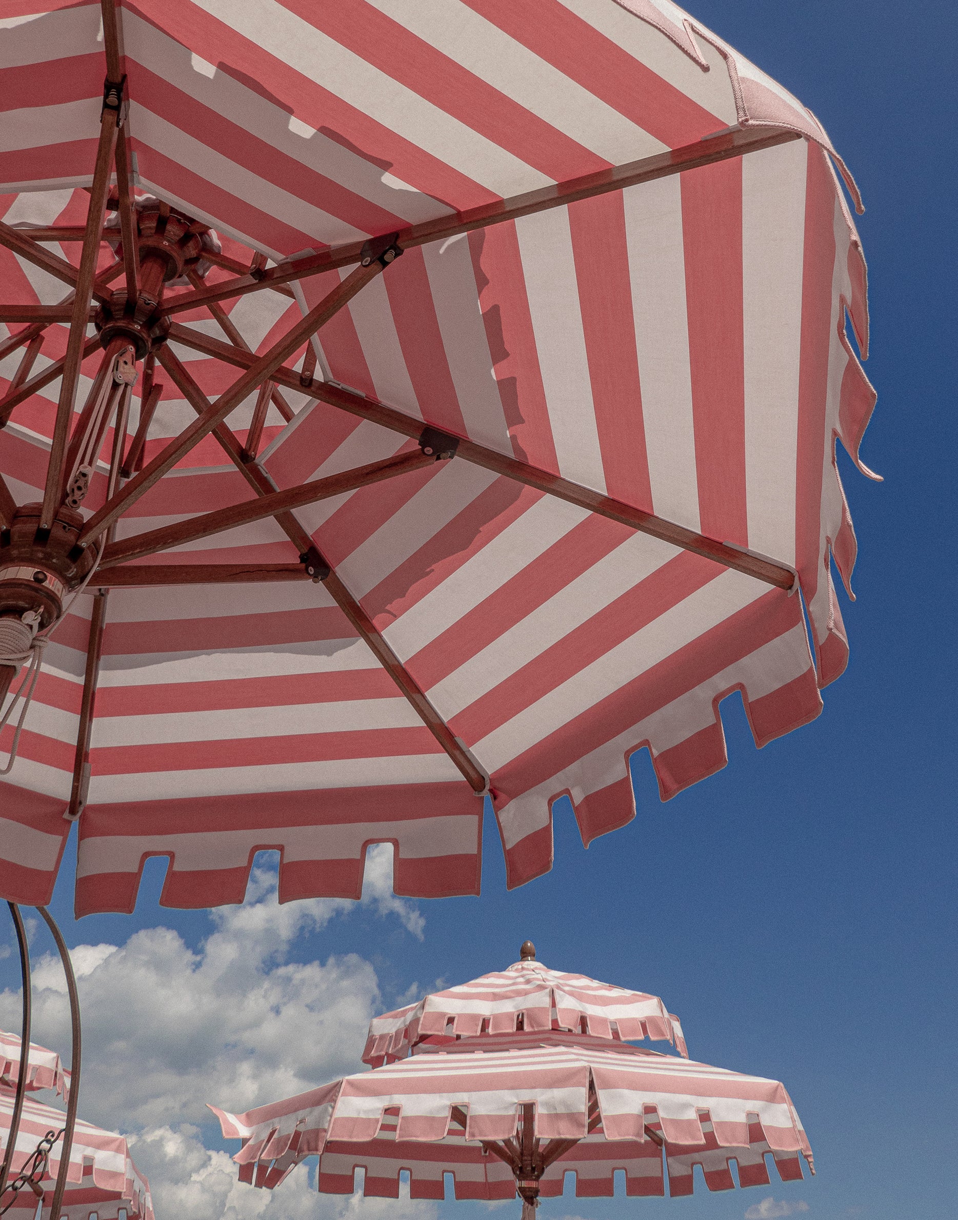 Pink Umbrellas fine art photography print by Cassandra Willis
