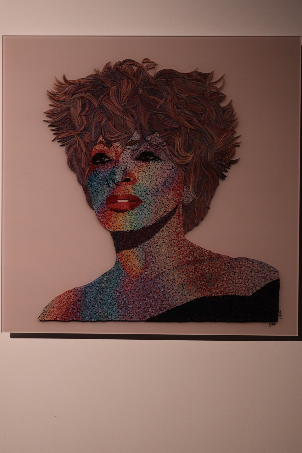 Amy Crain, Tina Turner 1 of 10