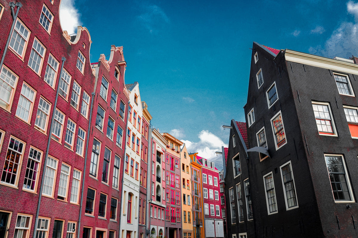 Cassandra Willis, Amsterdam in Wonderland