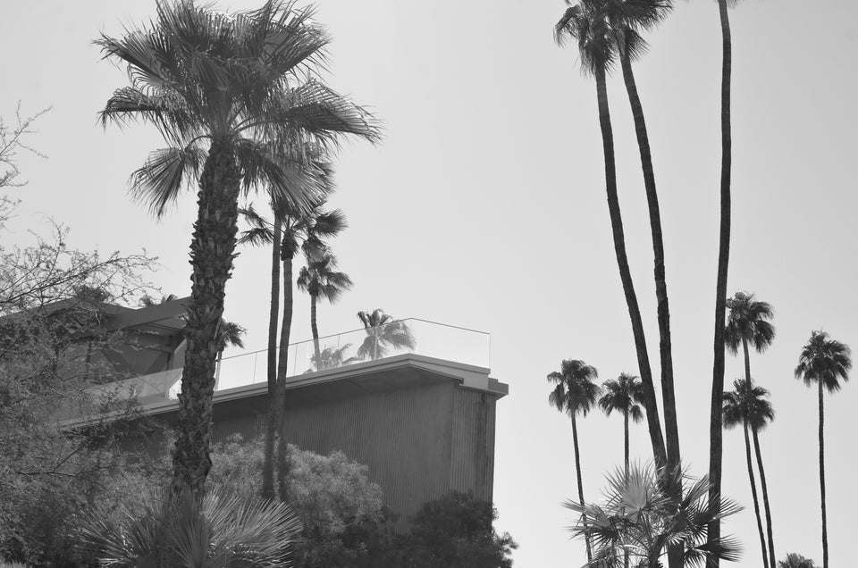 Cassandra Willis, Where the Palms Keep Secrets