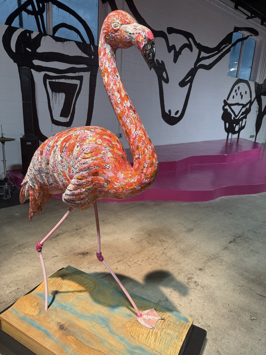 Dakota Pratt, Flamingo